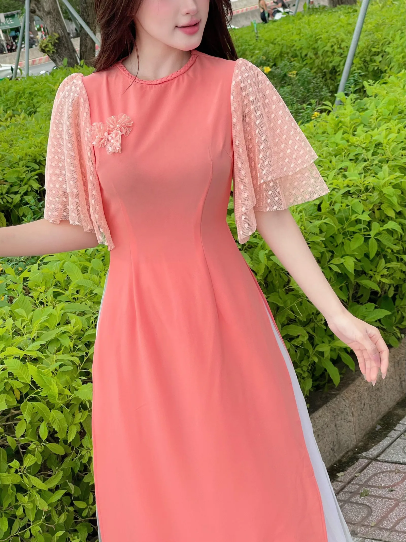 Ảnh 16