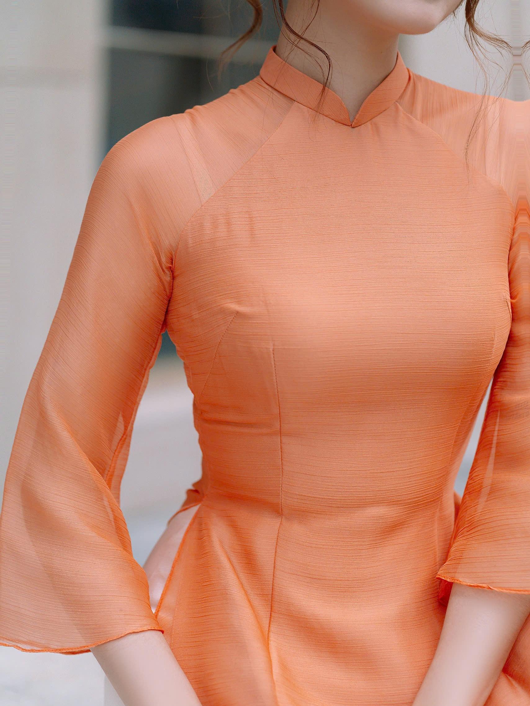 Ảnh 13